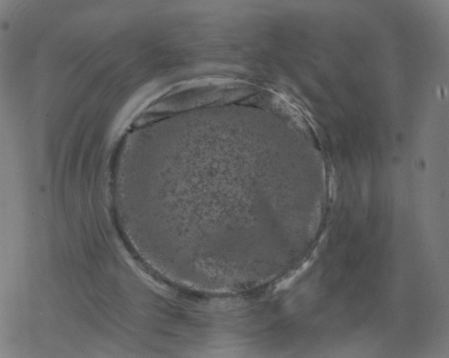 X0000077370101200611031921