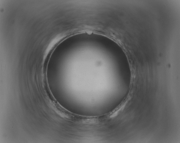 X0000077370102200611031921