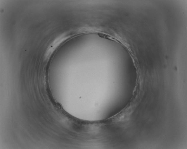 X0000077370103200611031921