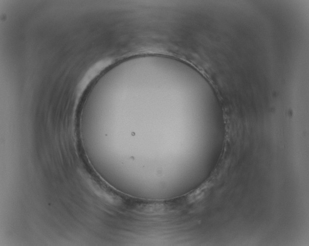 X0000077370104200611031921