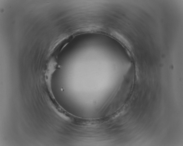 X0000077370105200611031921