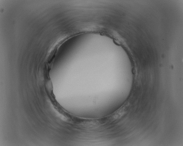 X0000077370106200611031921