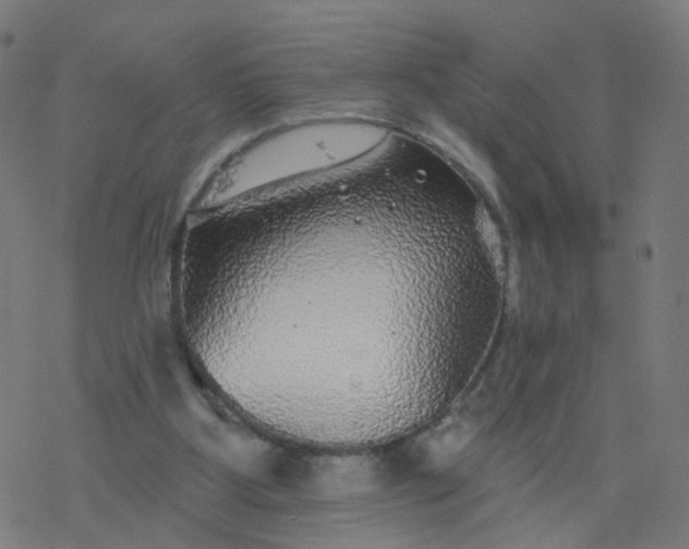 X0000077370107200611031921