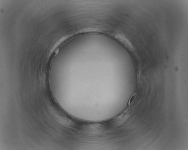 X0000077370108200611031921