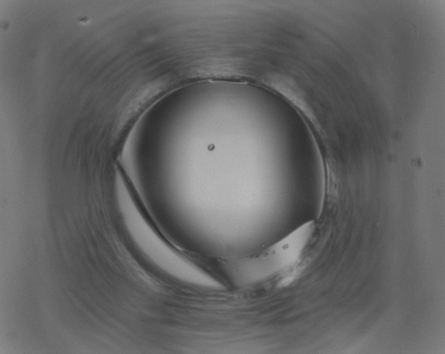 X0000077370109200611031921