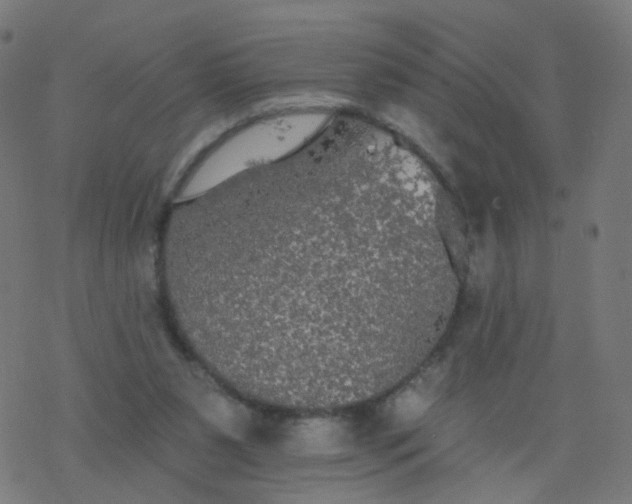 X0000077370111200611031921