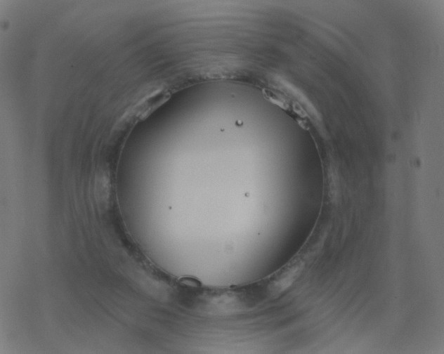 X0000077370113200611031921