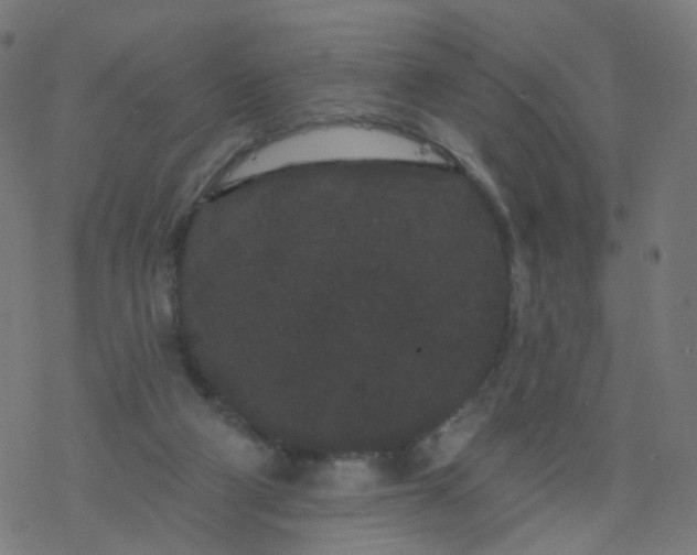 X0000077370114200611031921