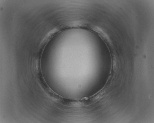 X0000077370115200611031921