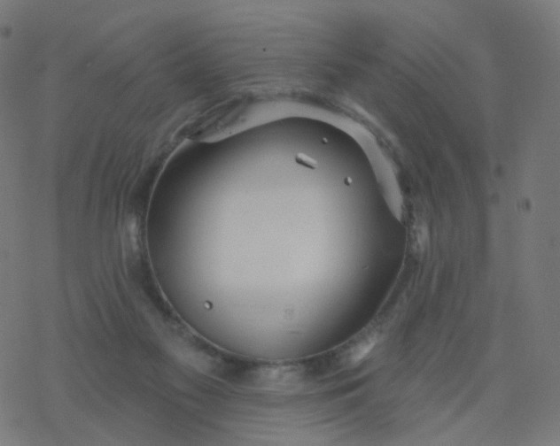 X0000077370117200611031921