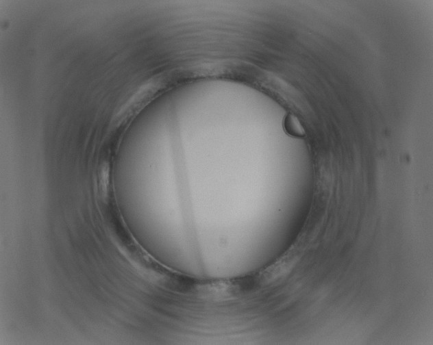 X0000077370118200611031921