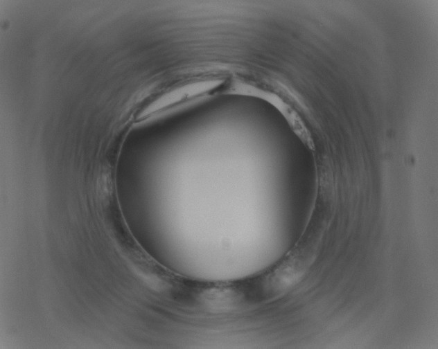 X0000077370119200611031921