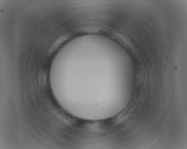 X0000077370120200611031921