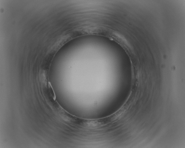 X0000077370121200611031921