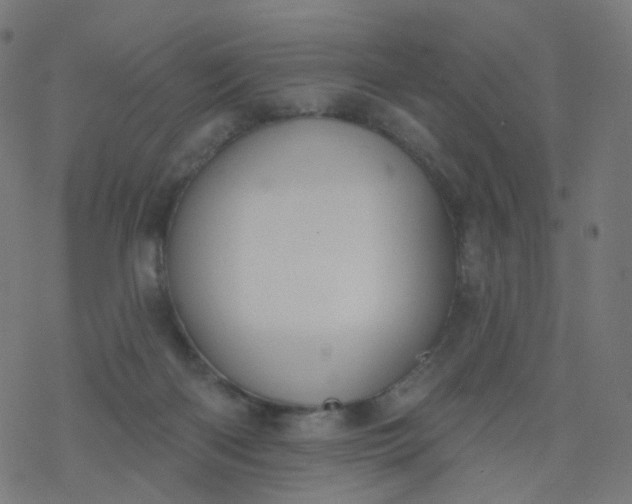 X0000077370122200611031921