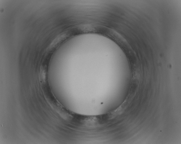 X0000077370124200611031921