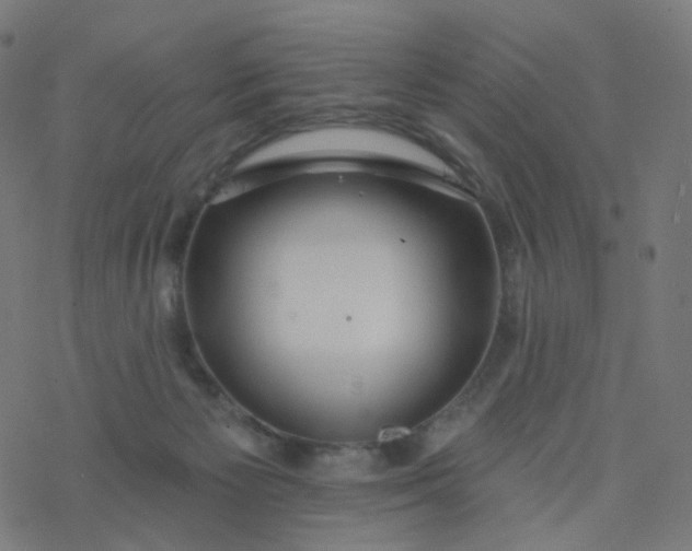 X0000077370125200611031921