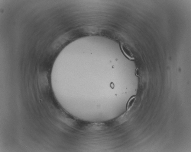 X0000077370128200611031921