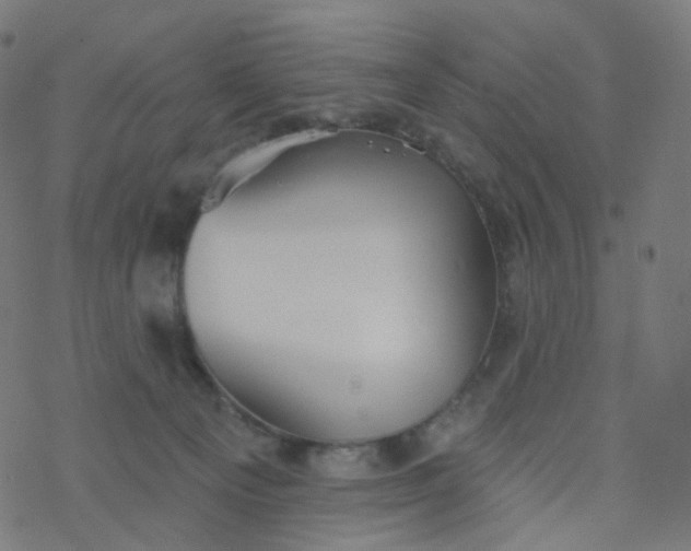 X0000077370129200611031921