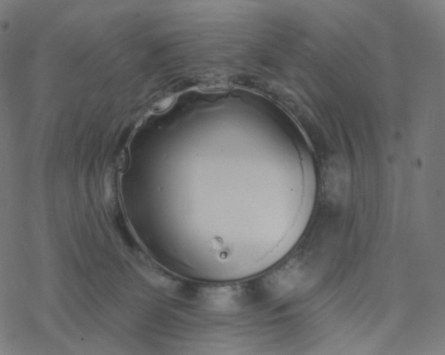 X0000077370131200611031921