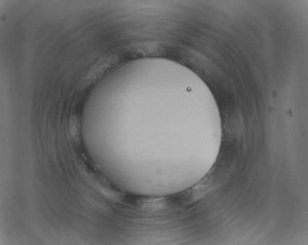 X0000077370132200611031921