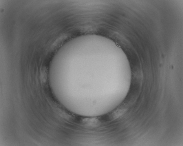 X0000077370133200611031921