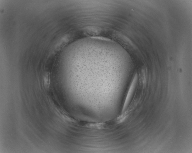 X0000077370134200611031921