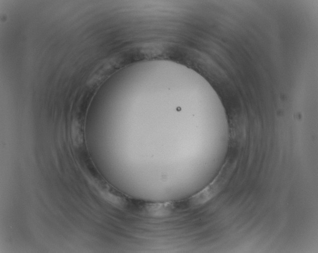 X0000077370136200611031921