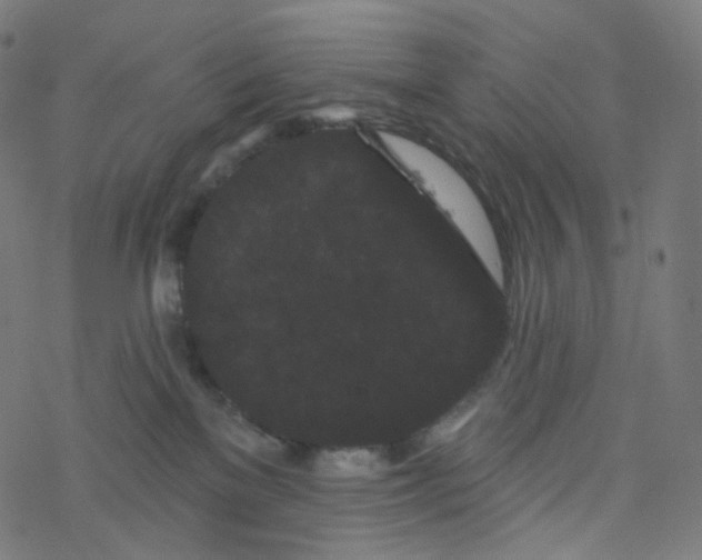 X0000077370137200611031921