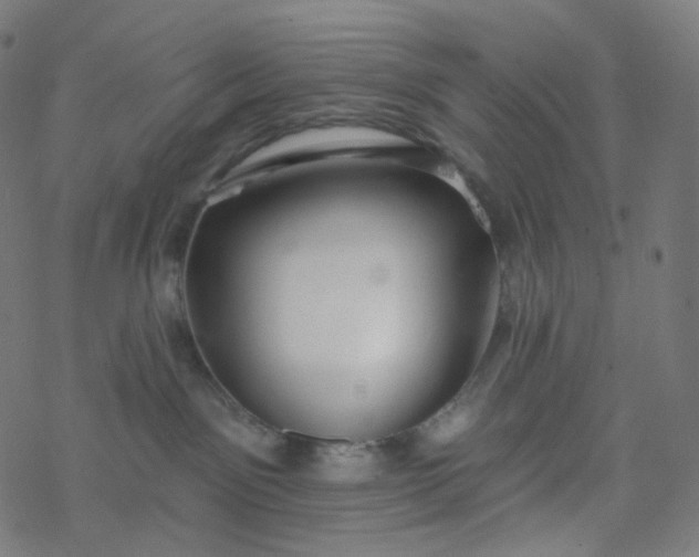 X0000077370141200611031921