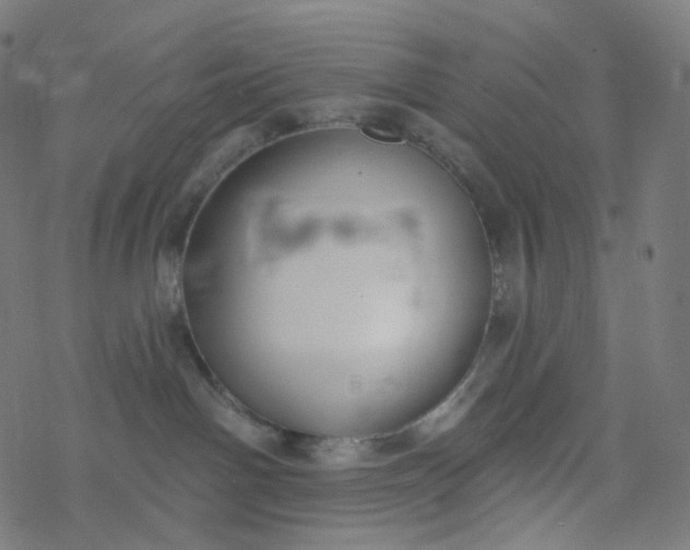 X0000077370142200611031921