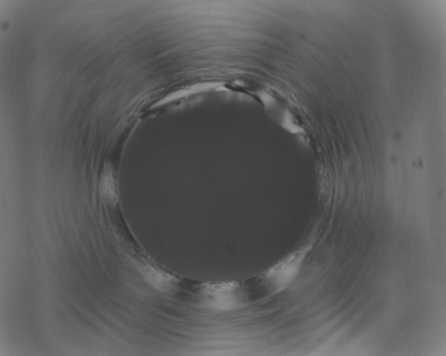 X0000077370143200611031921