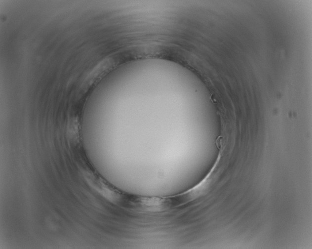 X0000077370144200611031921