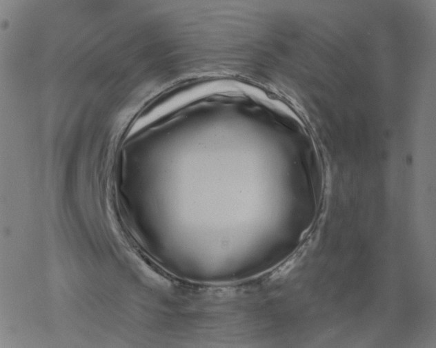 X0000077370145200611031920