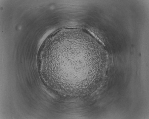 X0000077370147200611031920