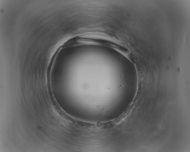 X0000077370148200611031920