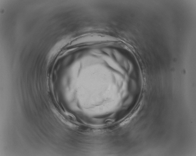 X0000077370149200611031920