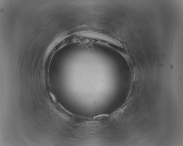 X0000077370150200611031920