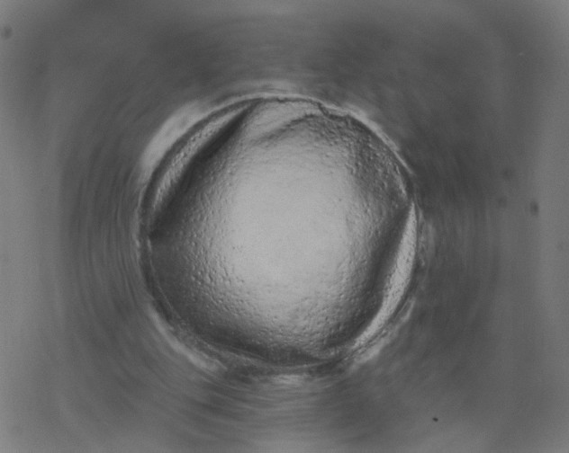 X0000077370151200611031920