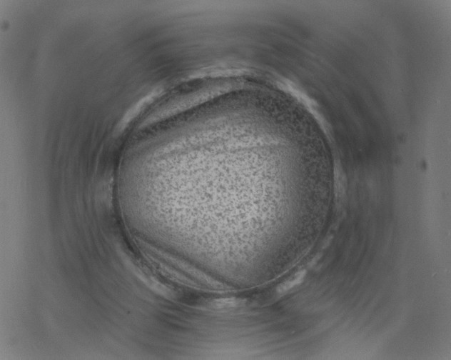 X0000077370153200611031920