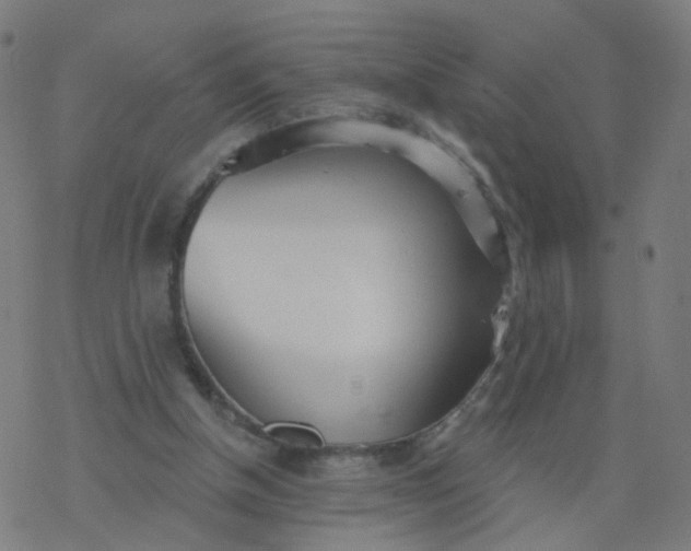 X0000077370154200611031920