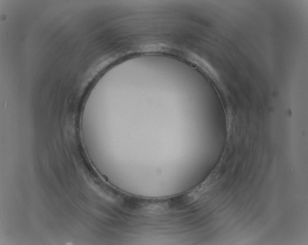 X0000077370155200611031920