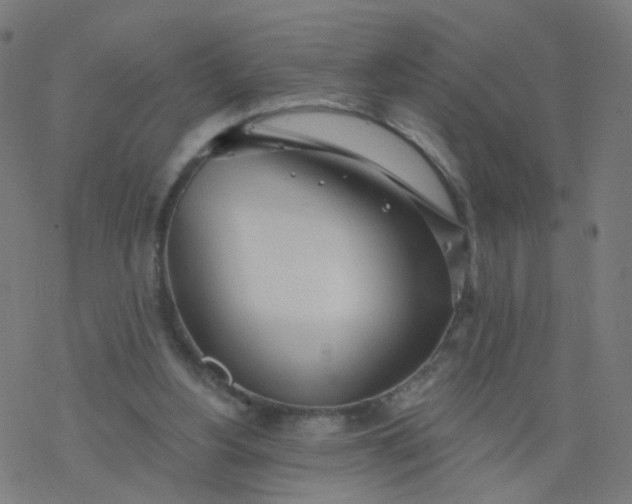 X0000077370156200611031920