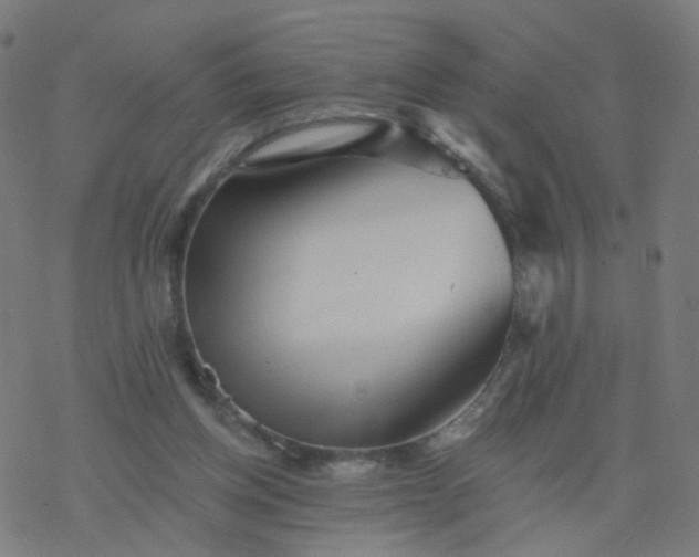 X0000077370158200611031920