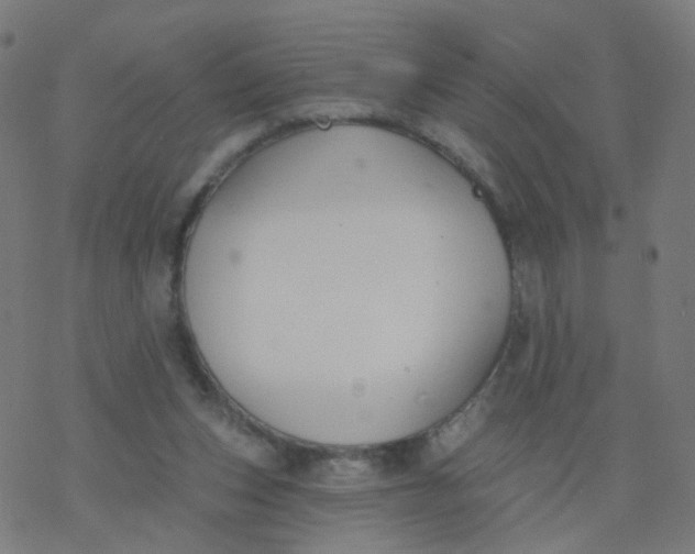 X0000077370159200611031920