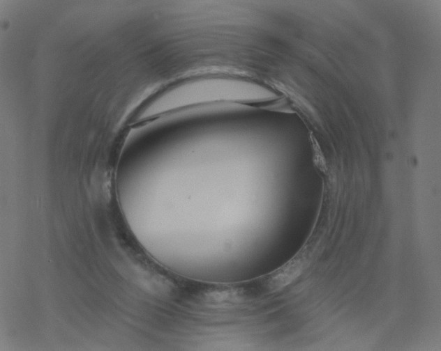 X0000077370160200611031920