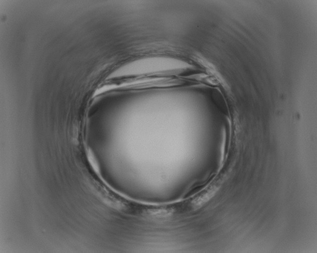 X0000077370161200611031920