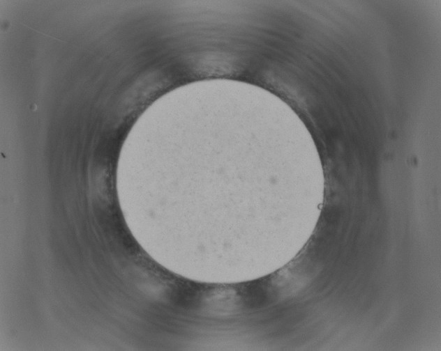 X0000077370162200611031920