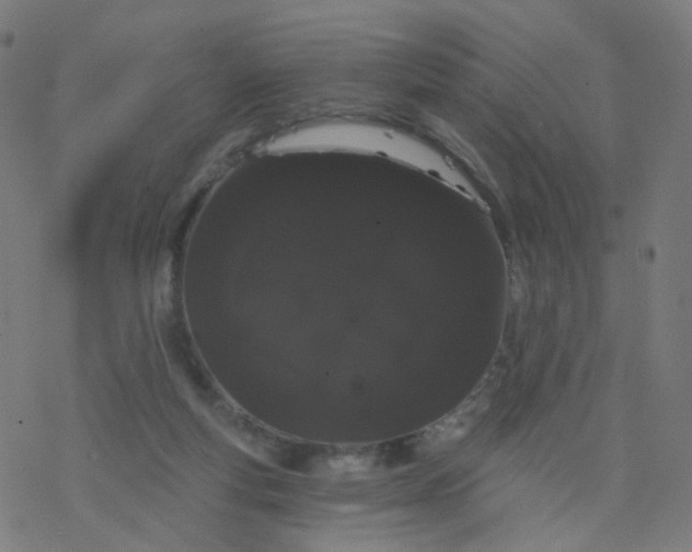 X0000077370163200611031920