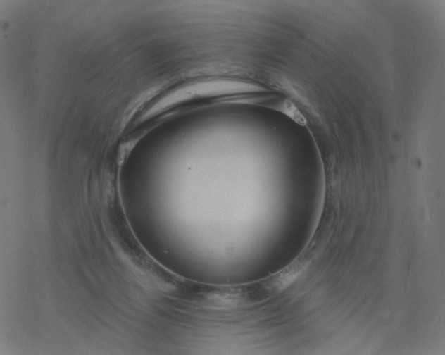 X0000077370164200611031920